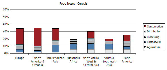 Grafik Food losses